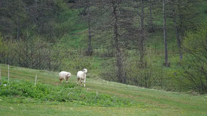 Çal Mağarası • Fotoğraf 3
