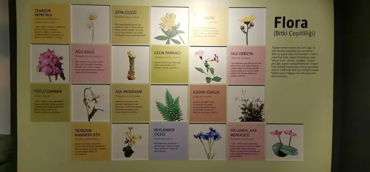 Şehir Müzesi • Fotoğraf 2