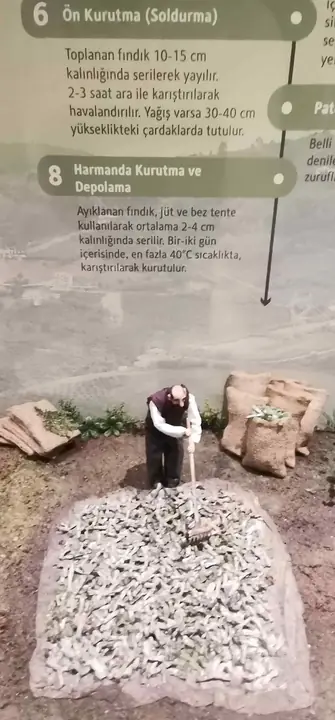 Şehir Müzesi • Fotoğraf 21
