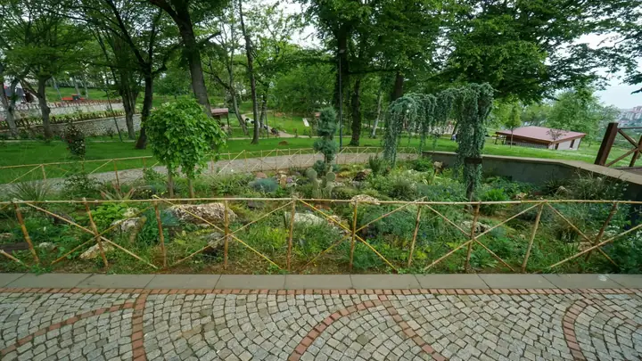 Botanik Parkı