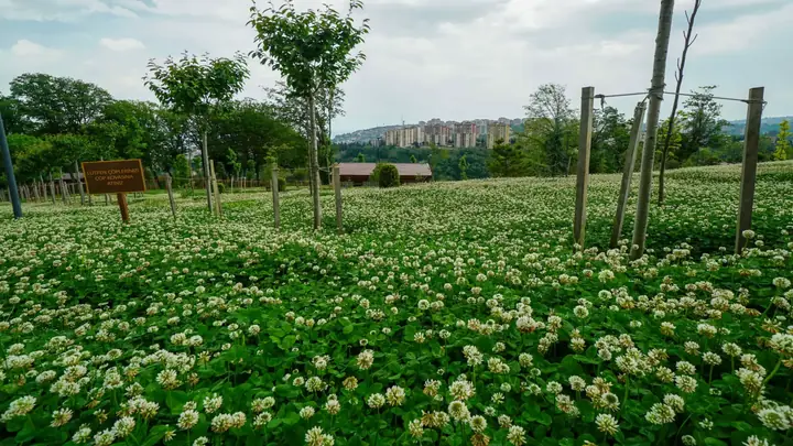 Botanik Parkı • Fotoğraf 12