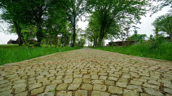 Botanik Parkı • Fotoğraf 30