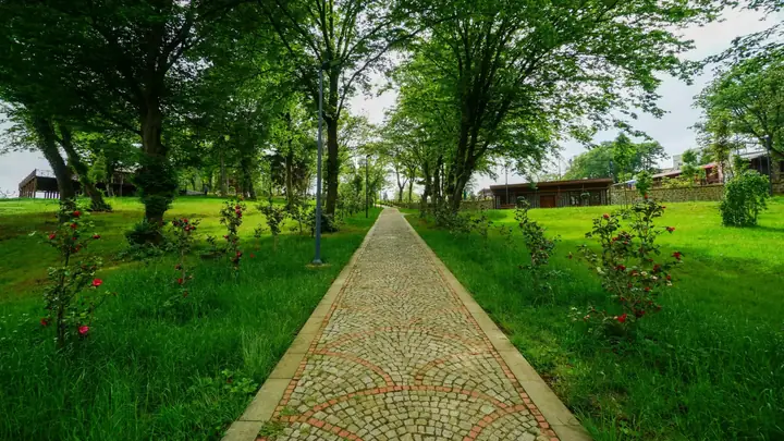 Botanik Parkı • Fotoğraf 31