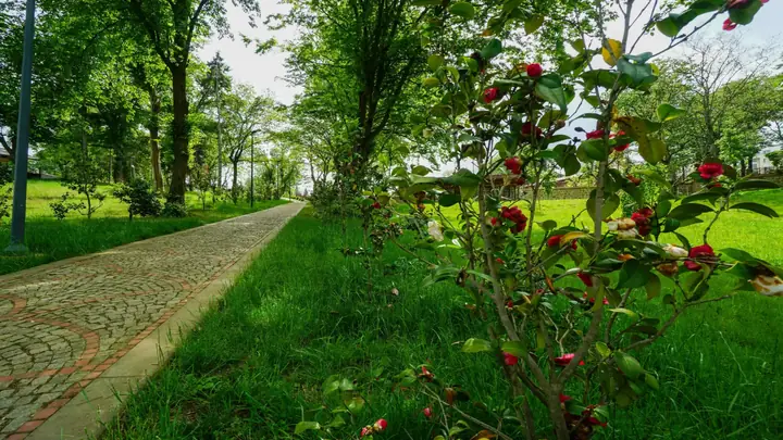 Botanik Parkı • Fotoğraf 32