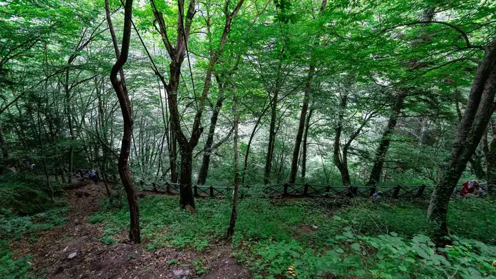 Sümela Manastırı • Fotoğraf 21