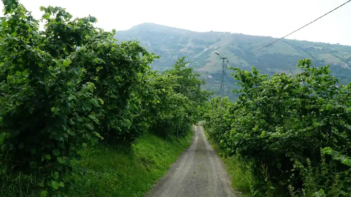 Sera Gölü • Fotoğraf 18