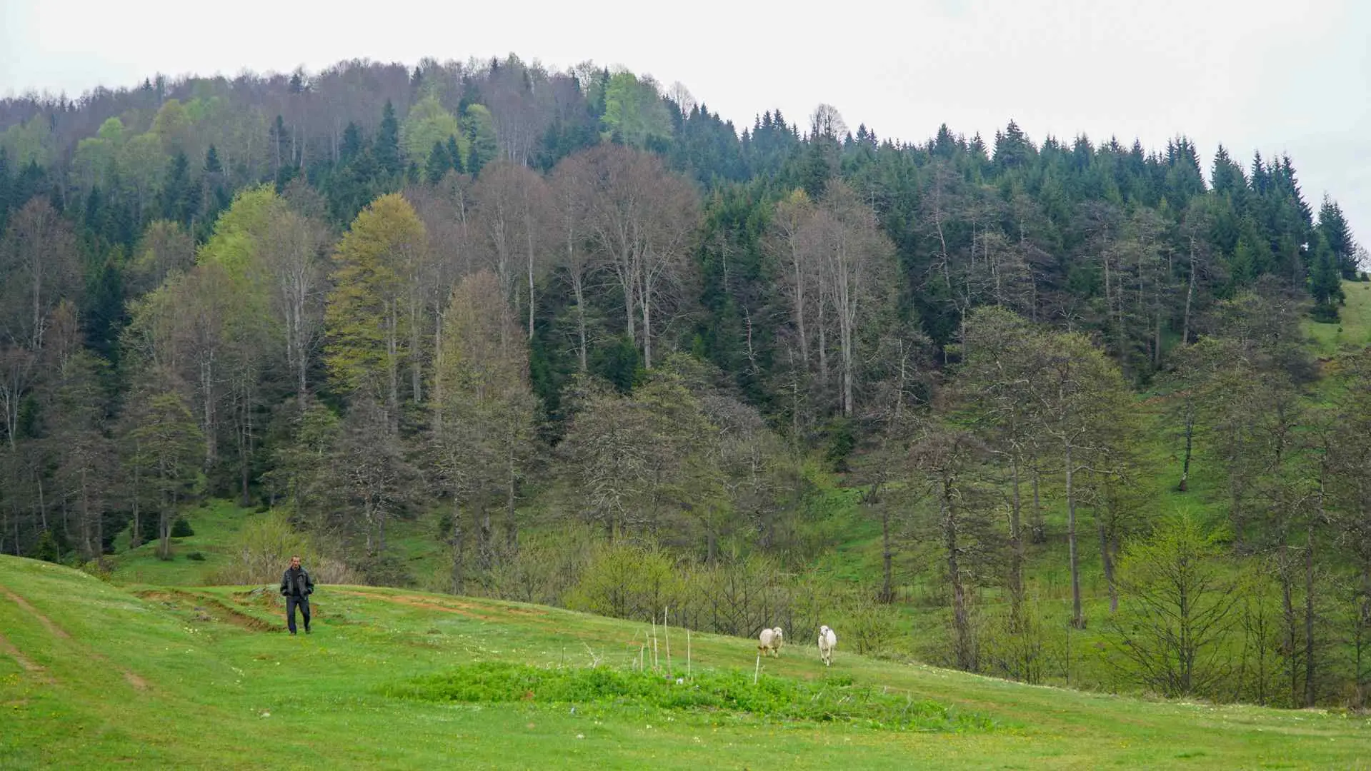Çal Mağarası • Fotoğraf 2