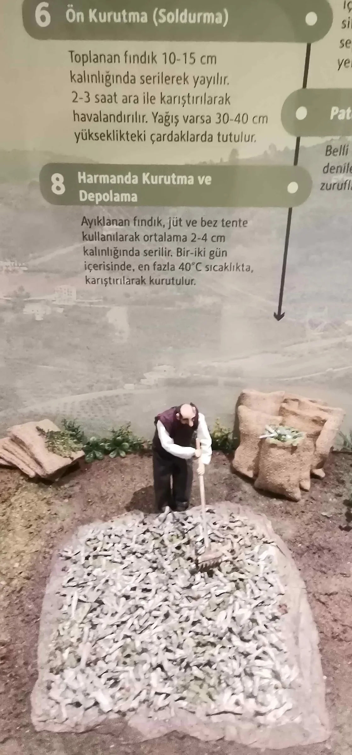 Şehir Müzesi • Fotoğraf 21
