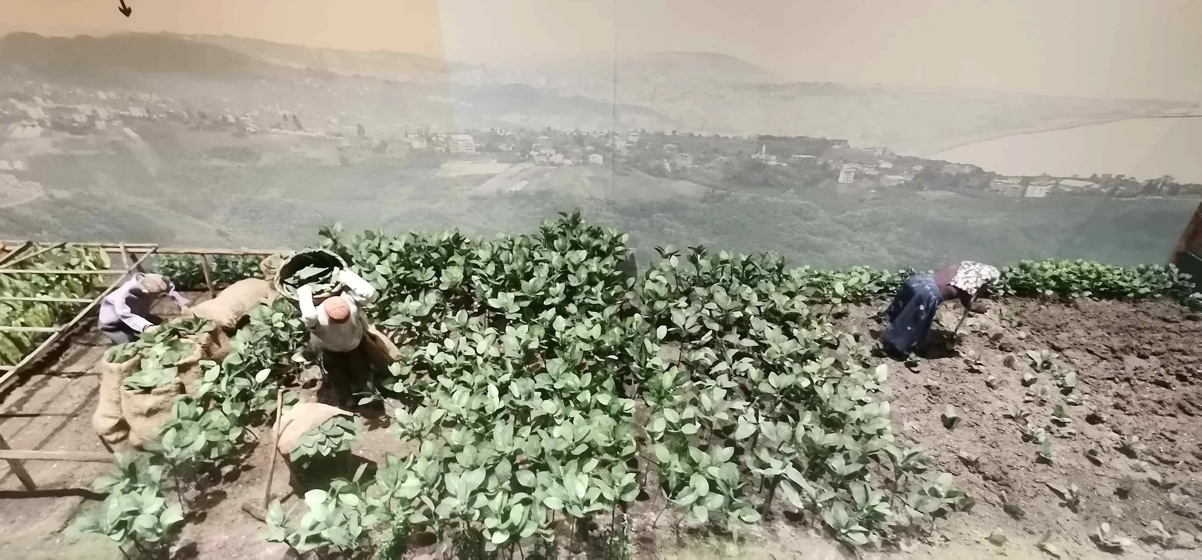Şehir Müzesi • Fotoğraf 27