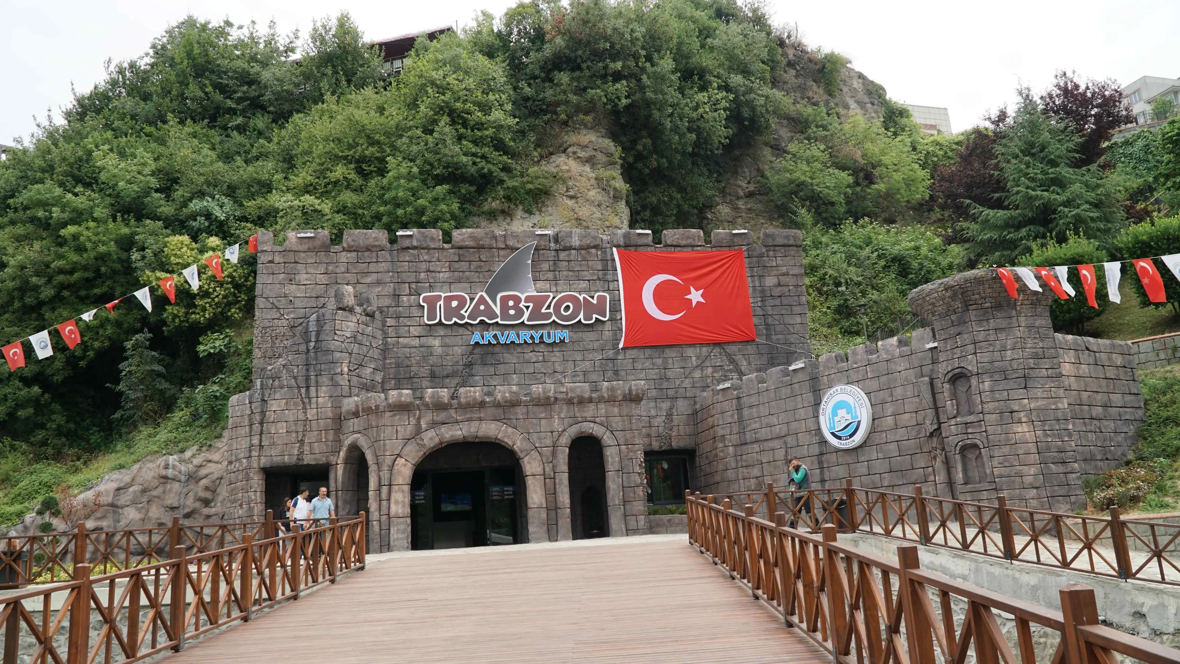 Akvaryum • Fotoğraf 20