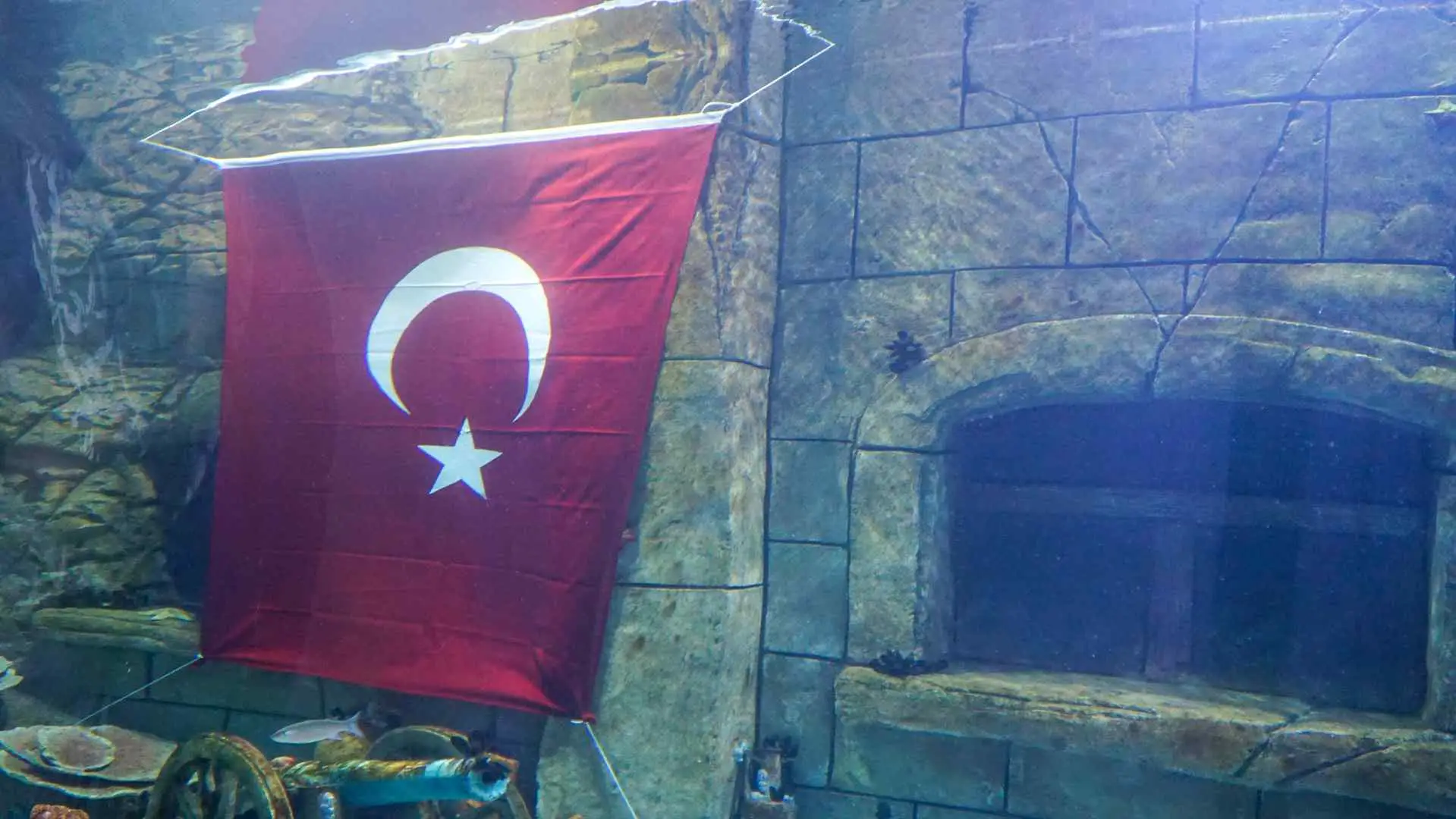 Akvaryum • Fotoğraf 59