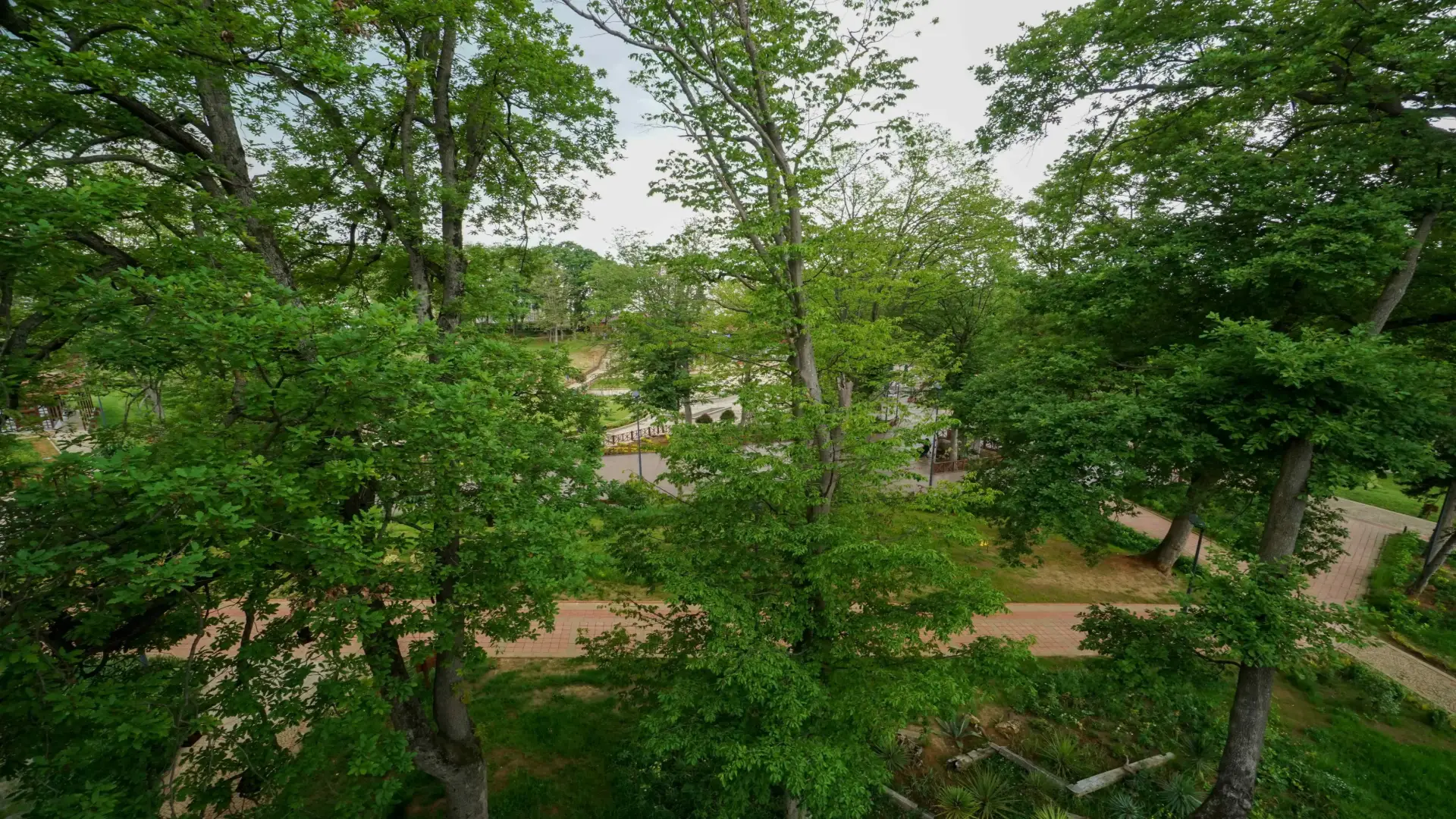 Botanik Parkı • Fotoğraf 9