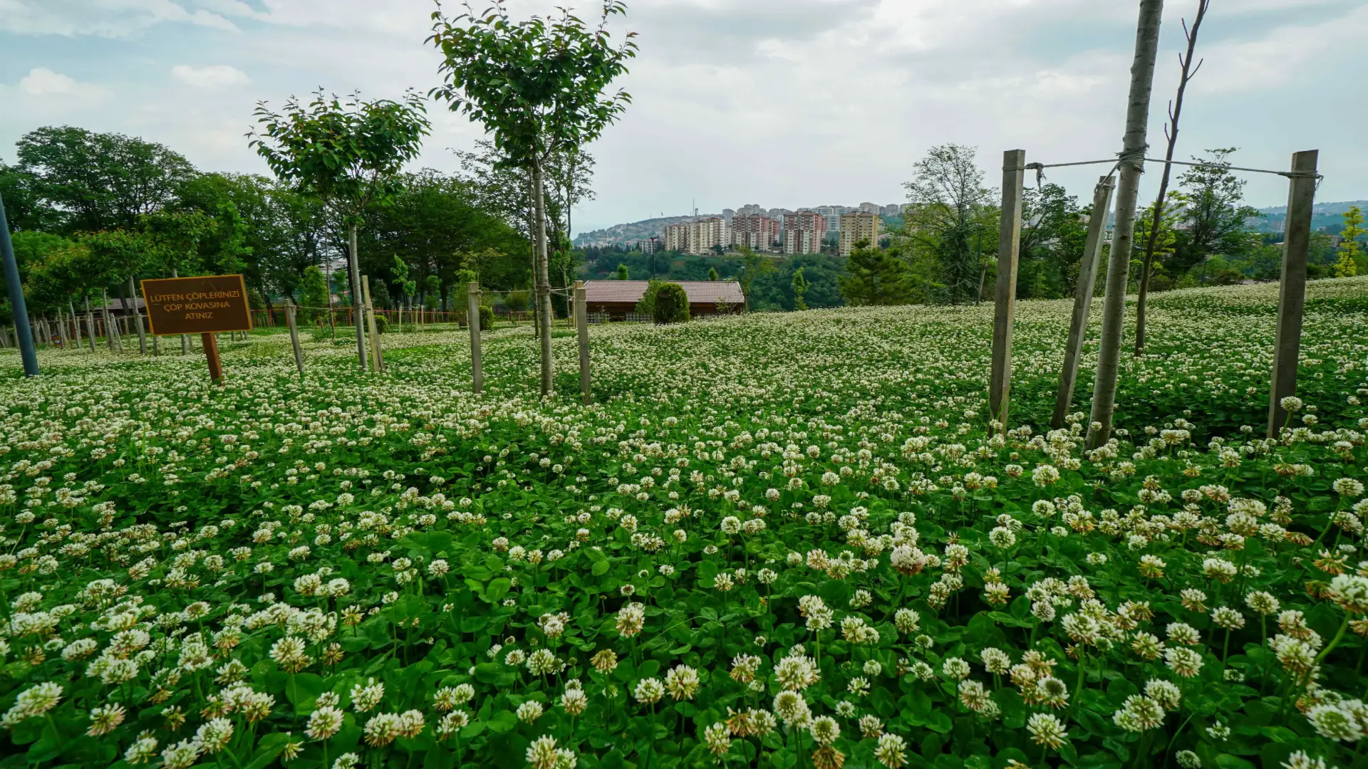 Botanik Parkı • Fotoğraf 12