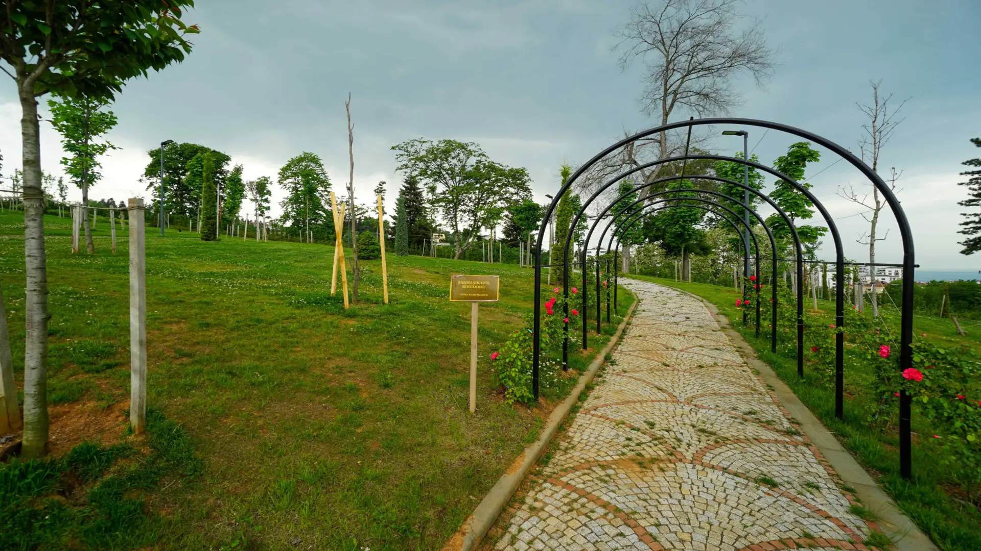 Botanik Parkı • Fotoğraf 14