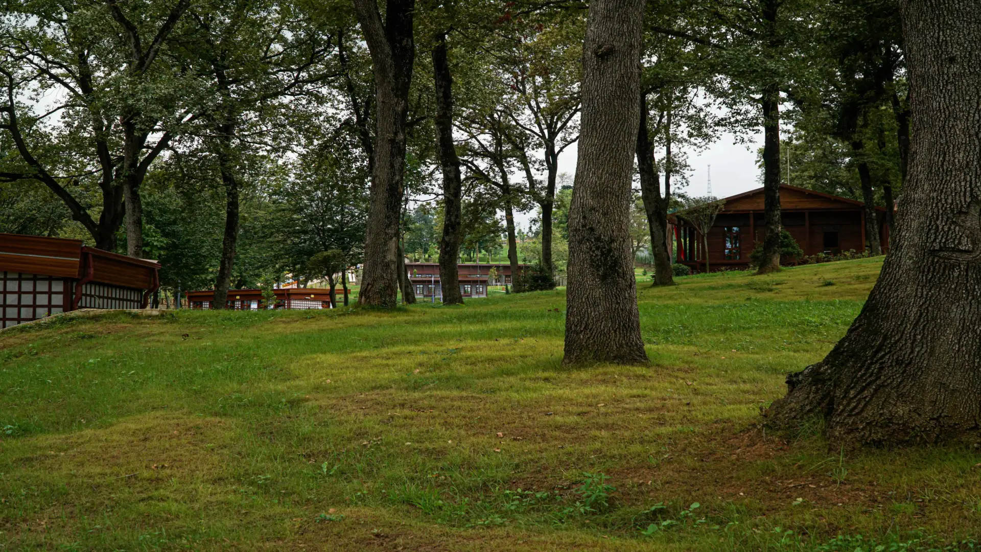 Botanik Parkı • Fotoğraf 26