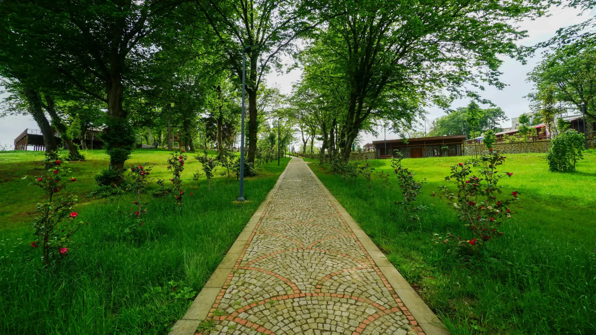 Botanik Parkı • Fotoğraf 31