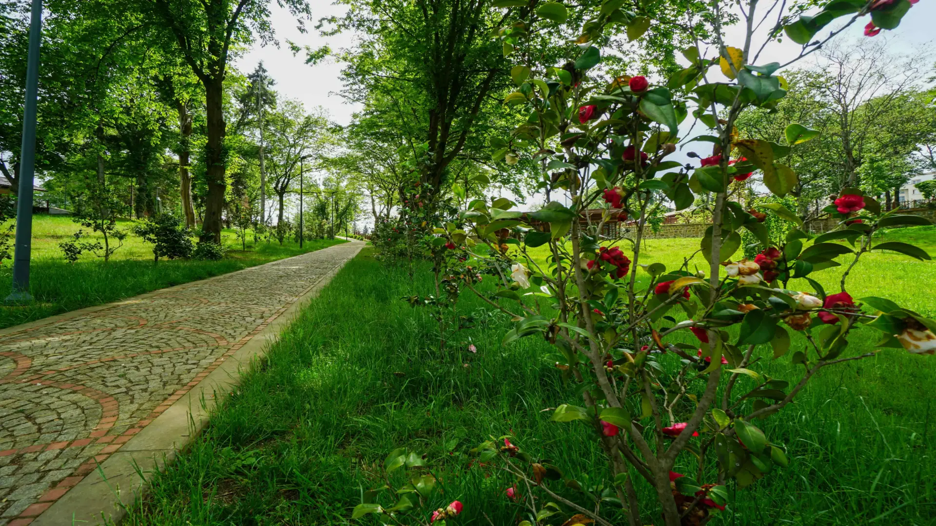Botanik Parkı • Fotoğraf 32