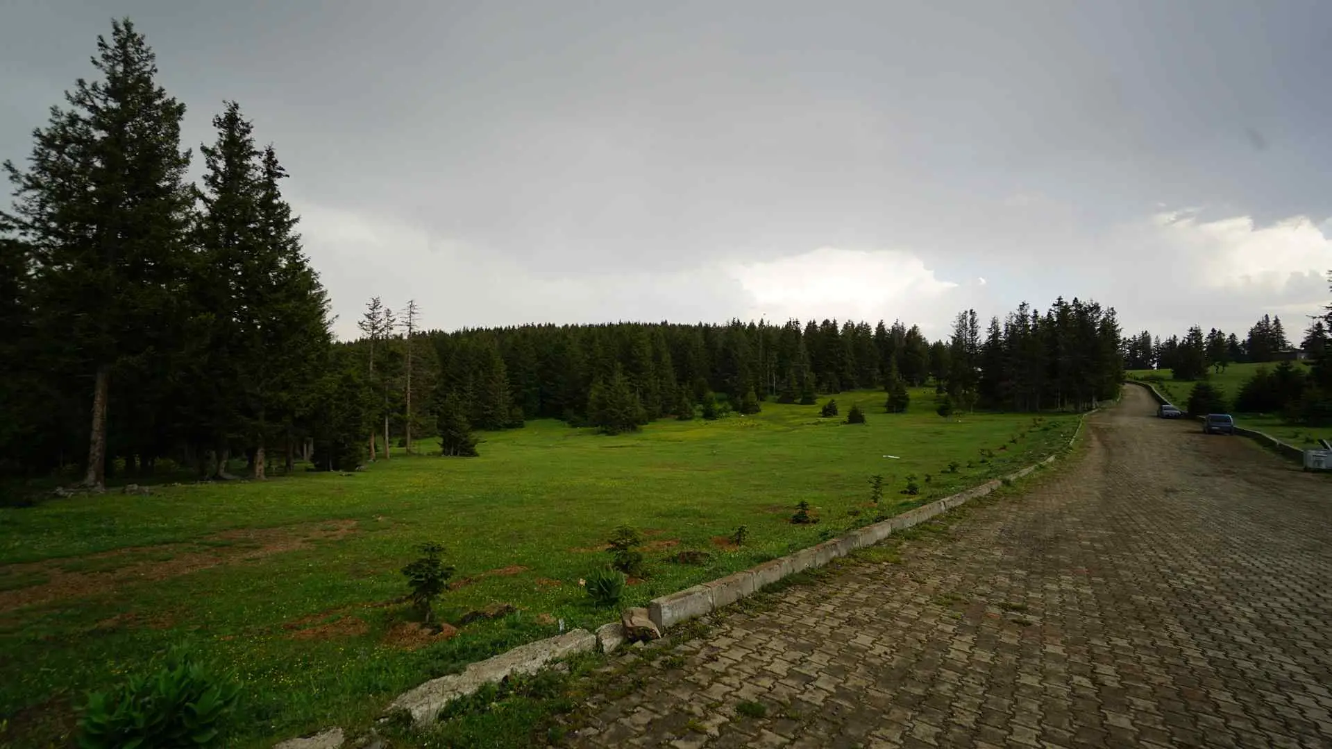 Kayabaşı Yaylası • Fotoğraf 2