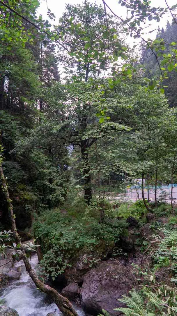 Sümela Manastırı • Fotoğraf 16