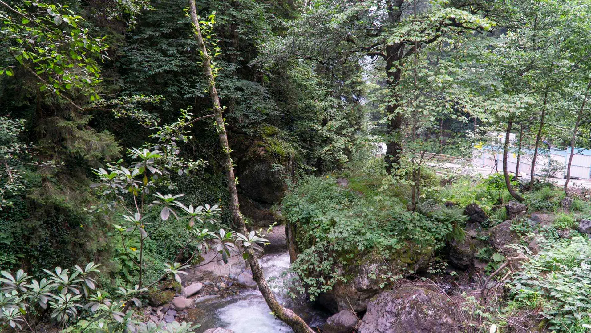 Sümela Manastırı • Fotoğraf 17