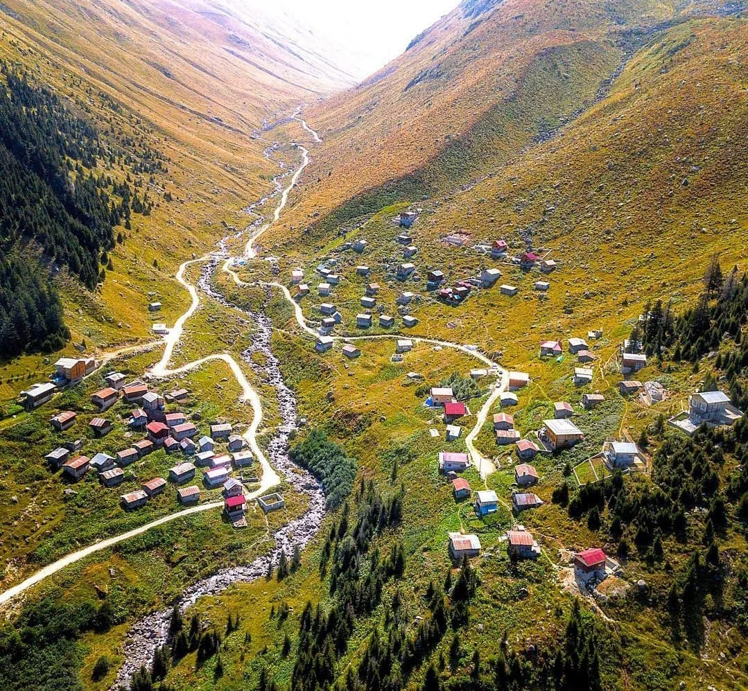 Amlakit Yaylası Rize fotoğrafı 3