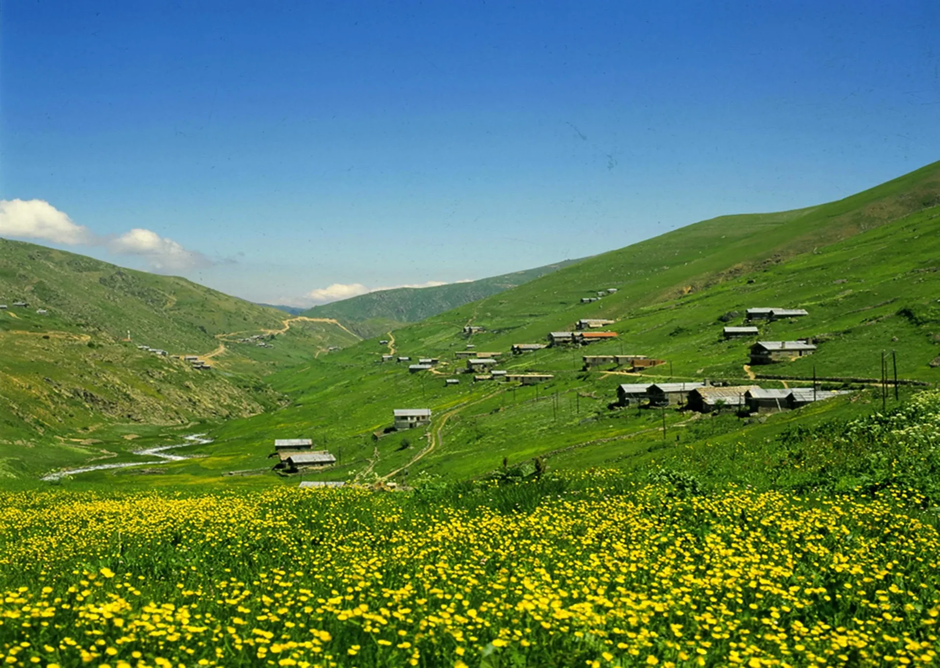 Anzer–Ballıköy Yaylası Rize fotoğrafı 4