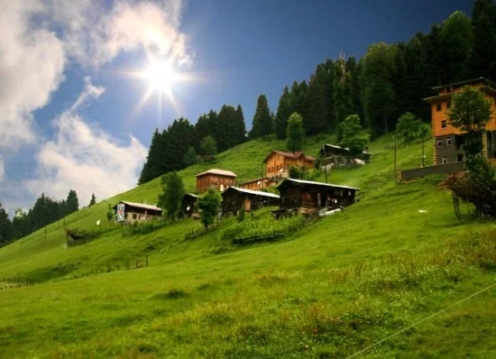 Ayder Yaylası Rize fotoğrafı 2