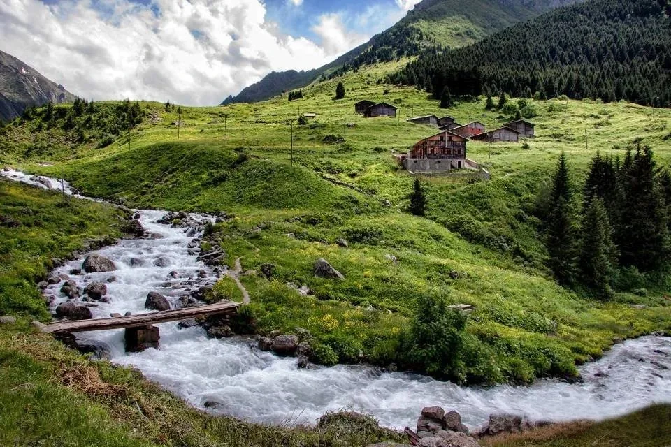 Elevit Yaylası Rize fotoğrafı 2