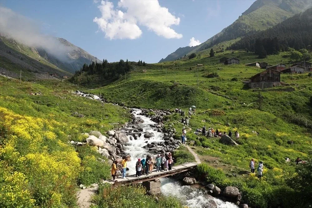 Elevit Yaylası Rize fotoğrafı 4