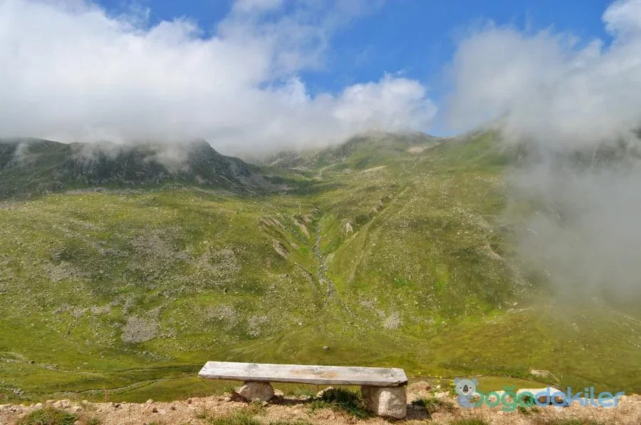 Hacıvanak Yaylası Rize fotoğrafı 3