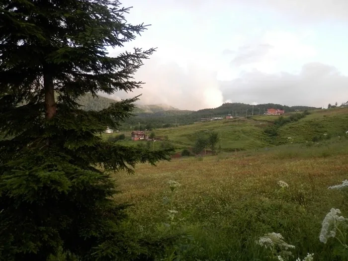 Handüzü Yaylası Rize fotoğrafı 3