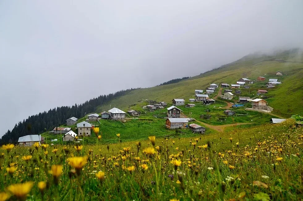 Kito Yaylası Rize yayla manzarası
