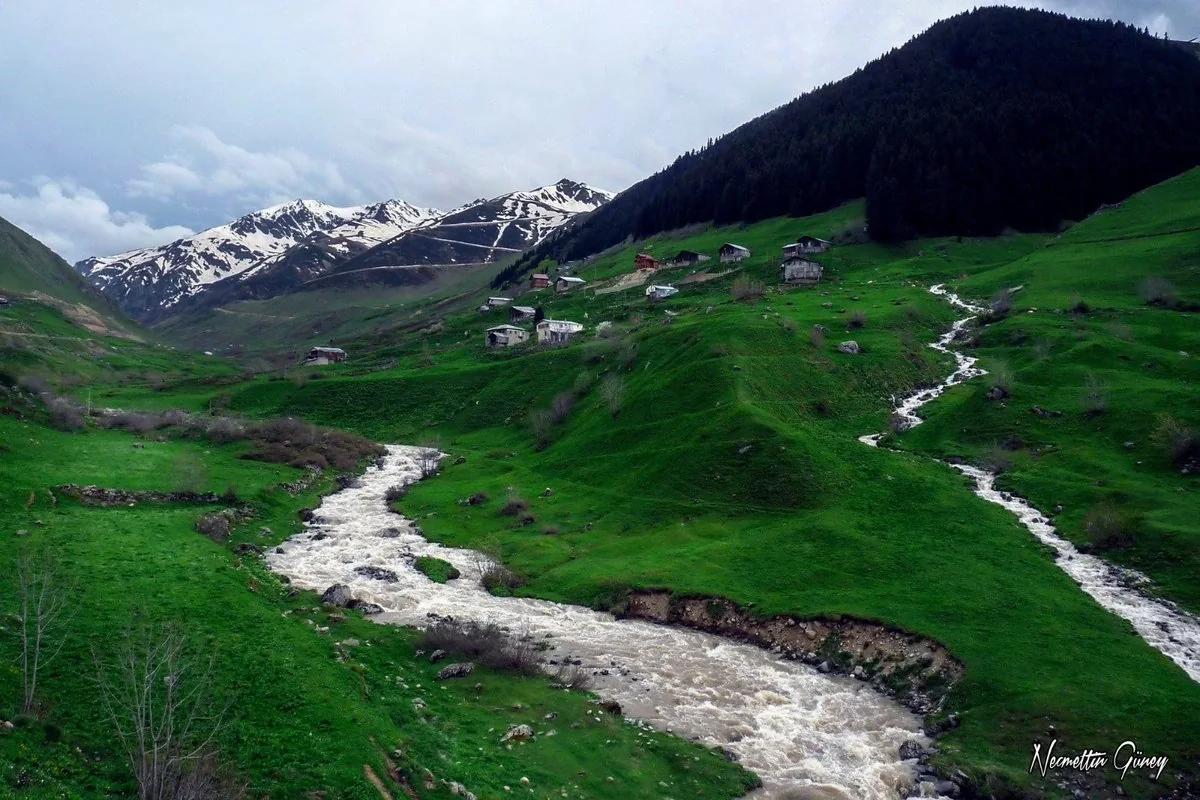 Ovit Yaylası Rize fotoğrafı 2