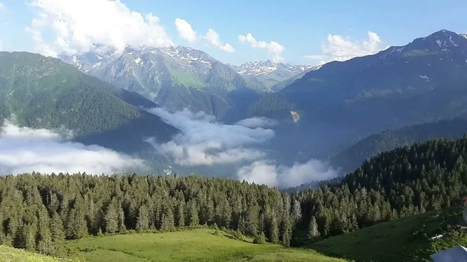 Palovit Yaylası Rize yayla manzarası