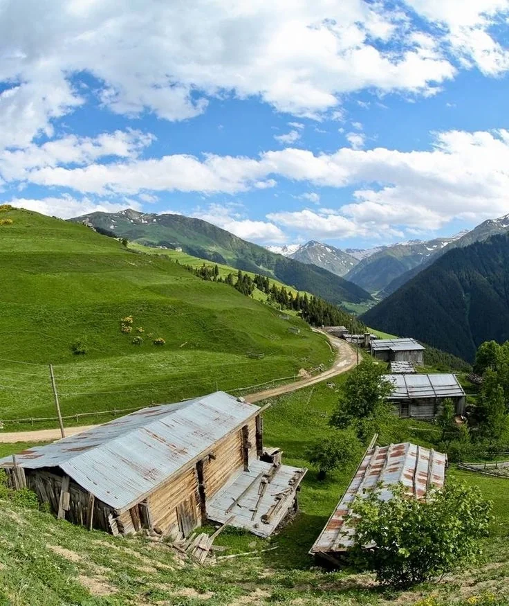 Petran Yaylası Rize fotoğrafı 4