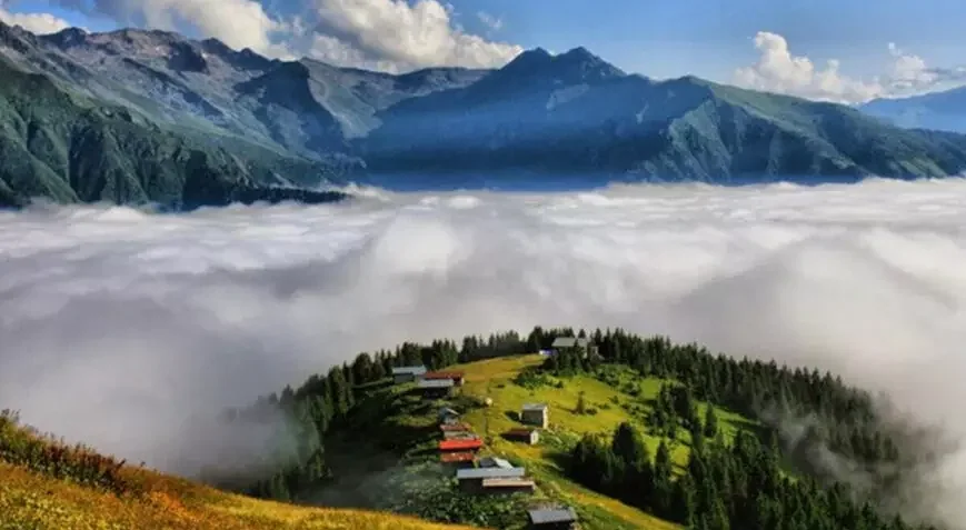 Pokut Yaylası Rize fotoğrafı 3