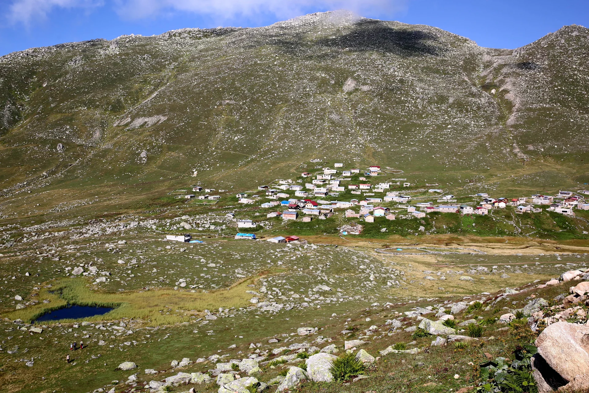 Samistal Yaylası Rize fotoğrafı 2