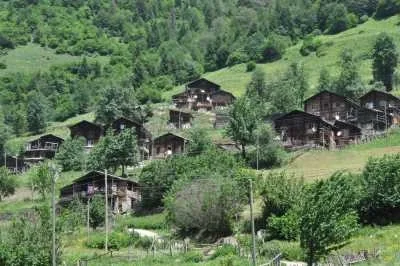 Sivrikaya Yaylası Rize fotoğrafı 3
