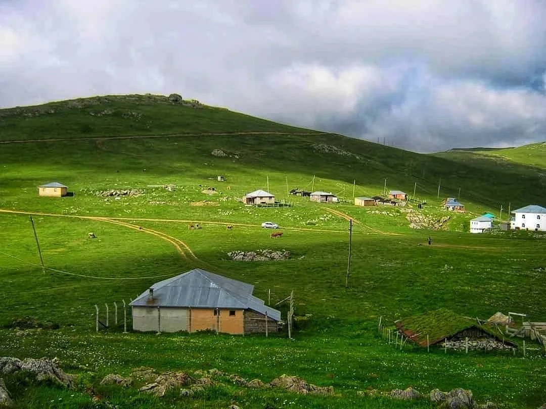 Çatma Obası Yaylası Trabzon fotoğrafı 2