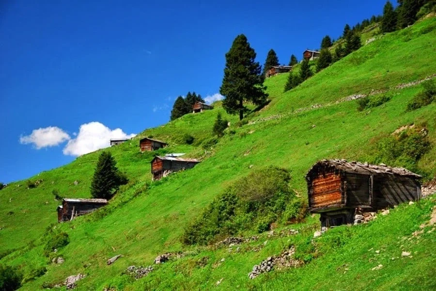 Çatma Obası Yaylası Trabzon fotoğrafı 3