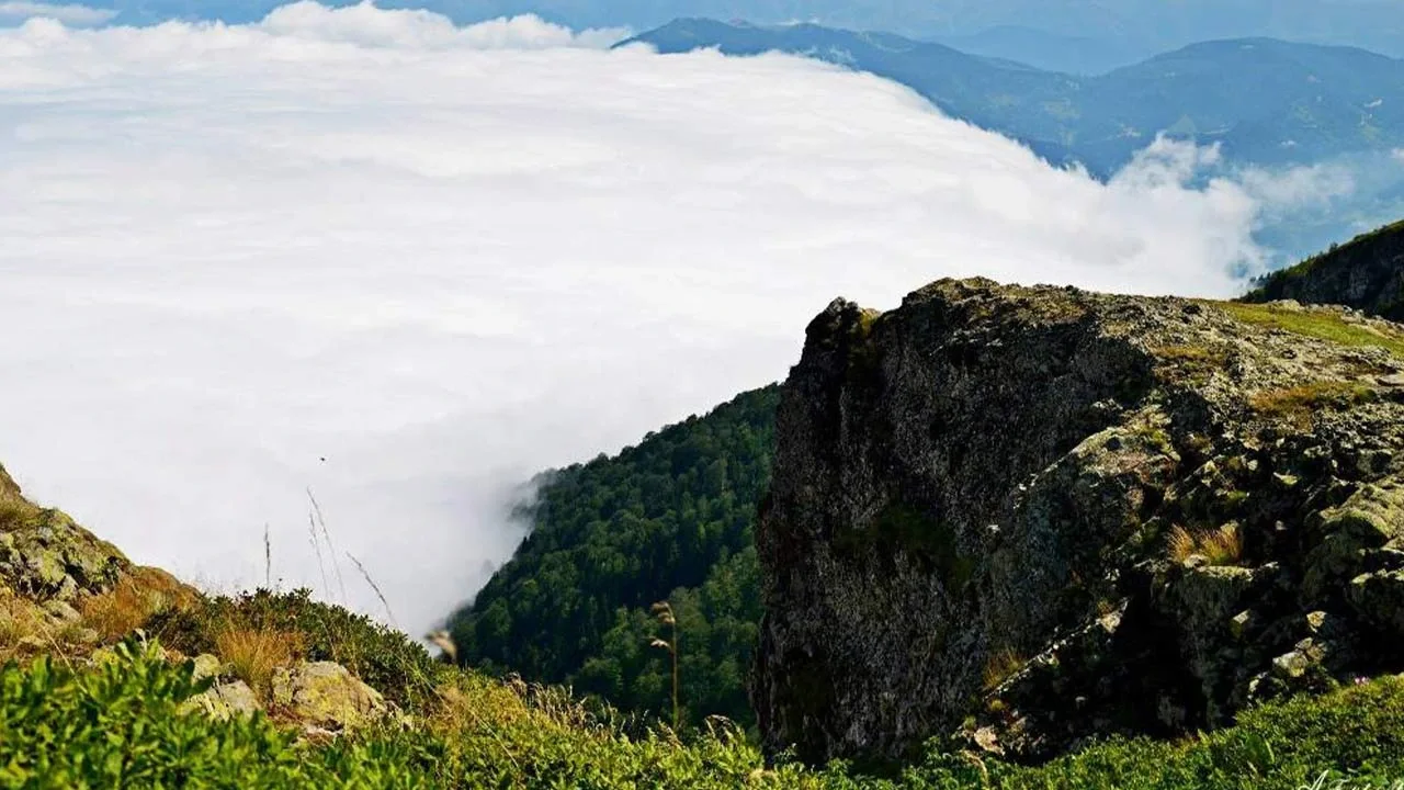 Çatma Obası Yaylası Trabzon fotoğrafı 4