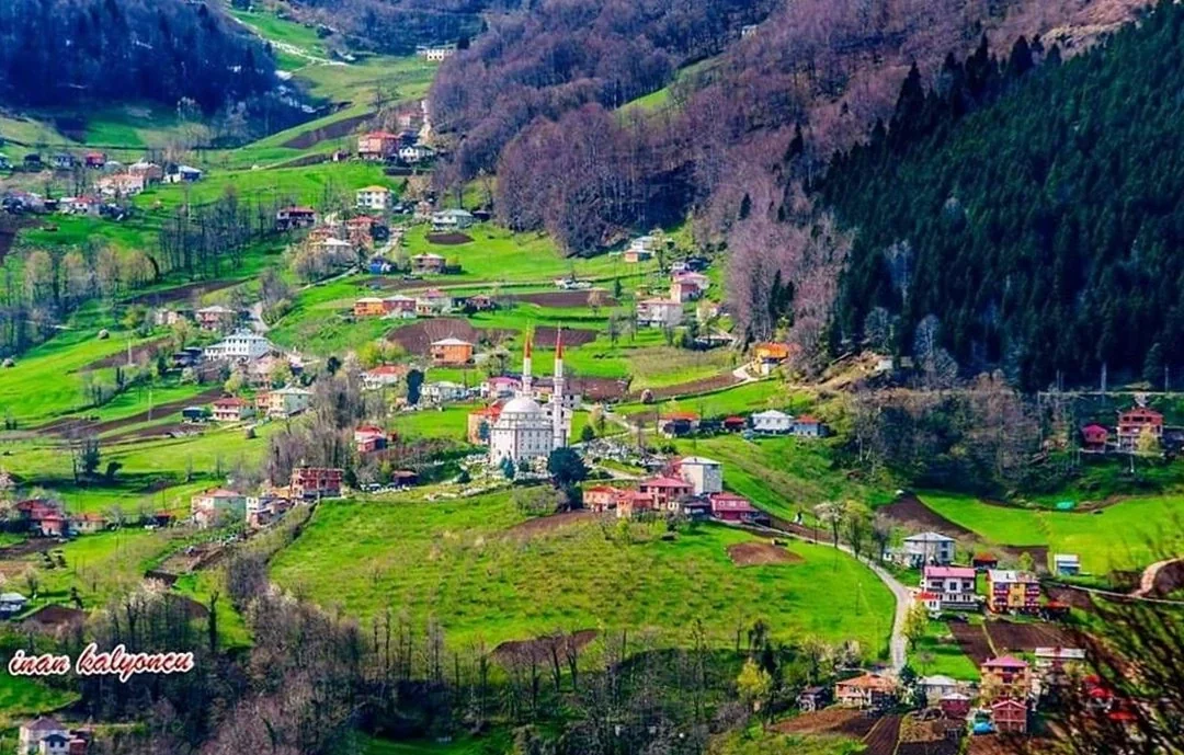 Erikbeli Yaylası Trabzon fotoğrafı 3