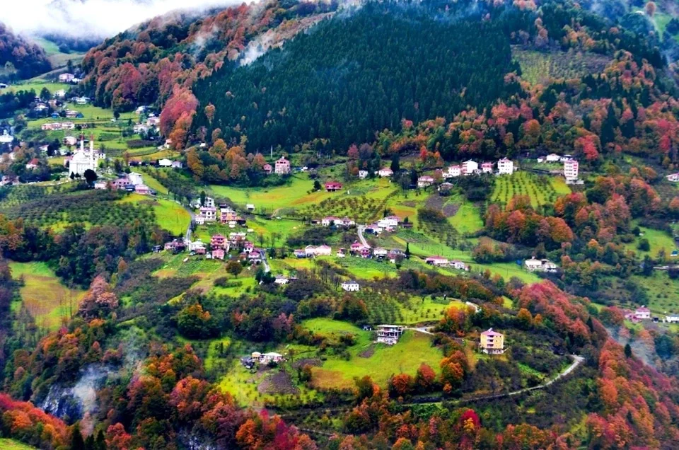 Erikbeli Yaylası Trabzon fotoğrafı 4