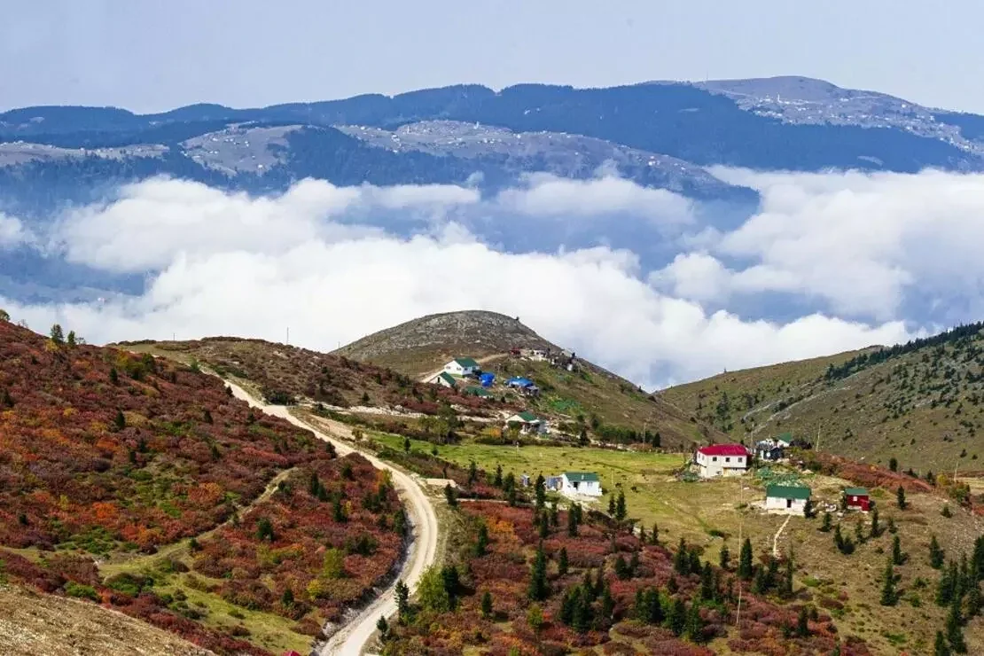 Haçka Obası Yaylası Trabzon fotoğrafı 2