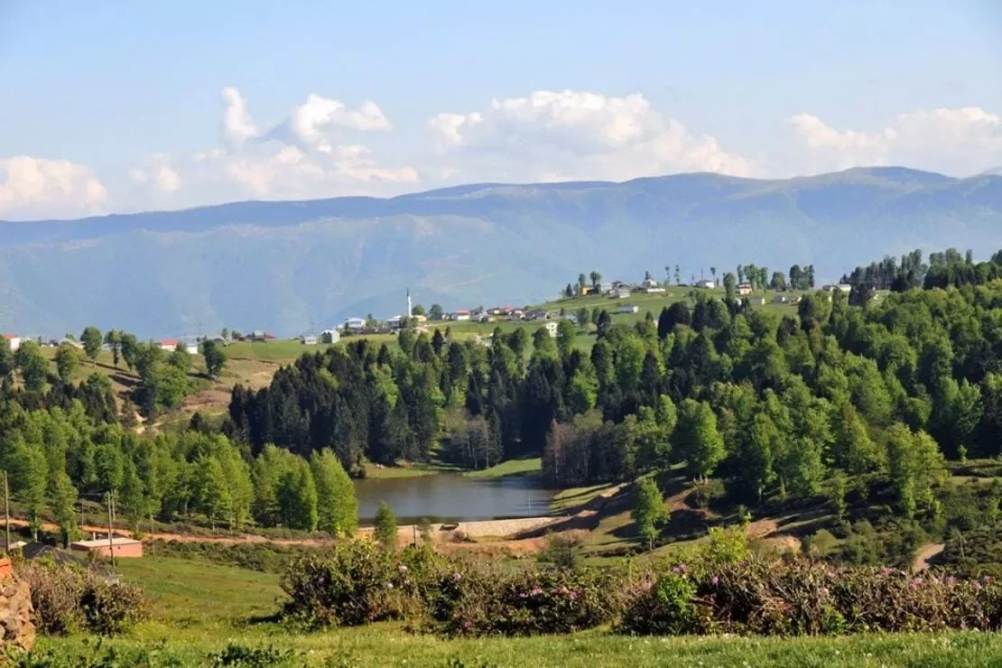 Hıdırnebi Yaylası Trabzon yayla manzarası