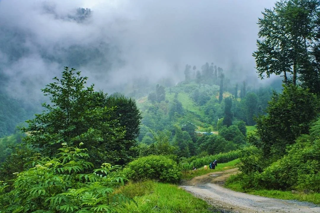 Hıdırnebi Yaylası Trabzon fotoğrafı 2