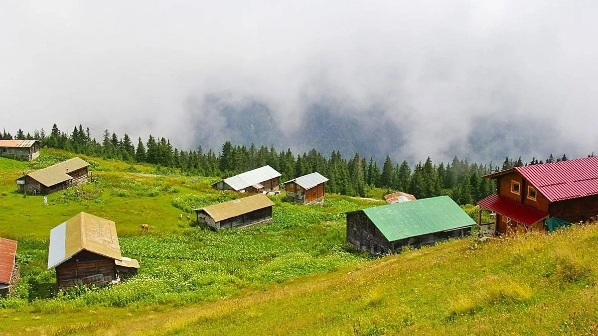 Hıdırnebi Yaylası Trabzon fotoğrafı 3
