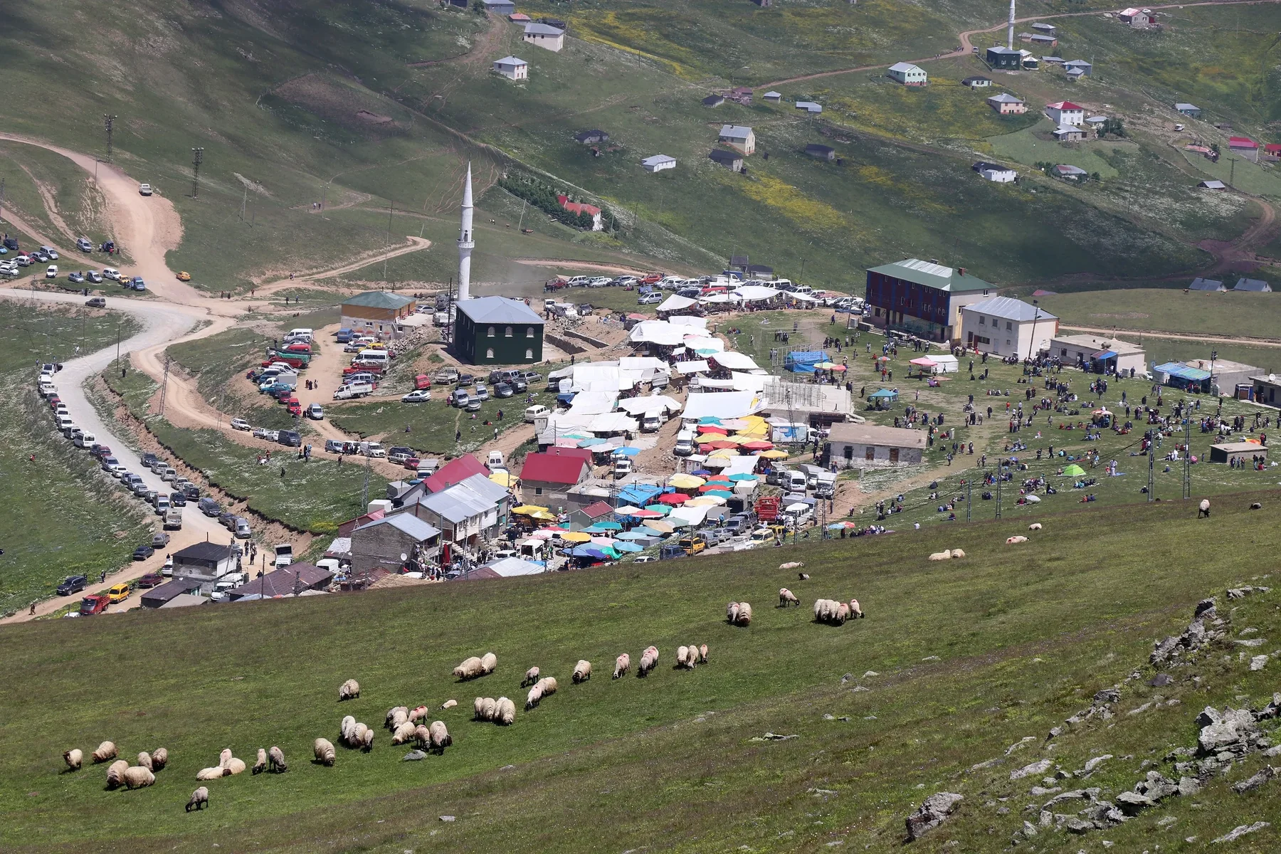 Kadırga Yaylası Trabzon fotoğrafı 2