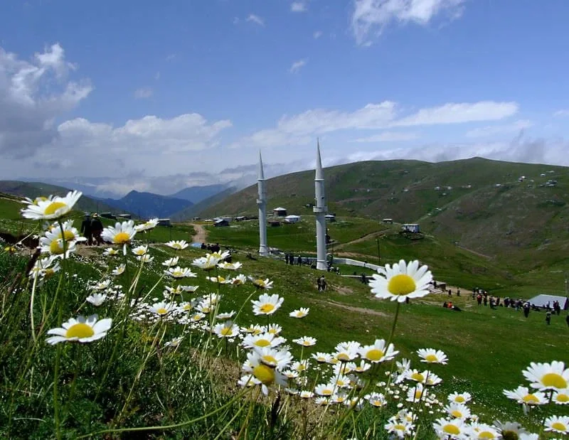 Kadırga Yaylası Trabzon fotoğrafı 4