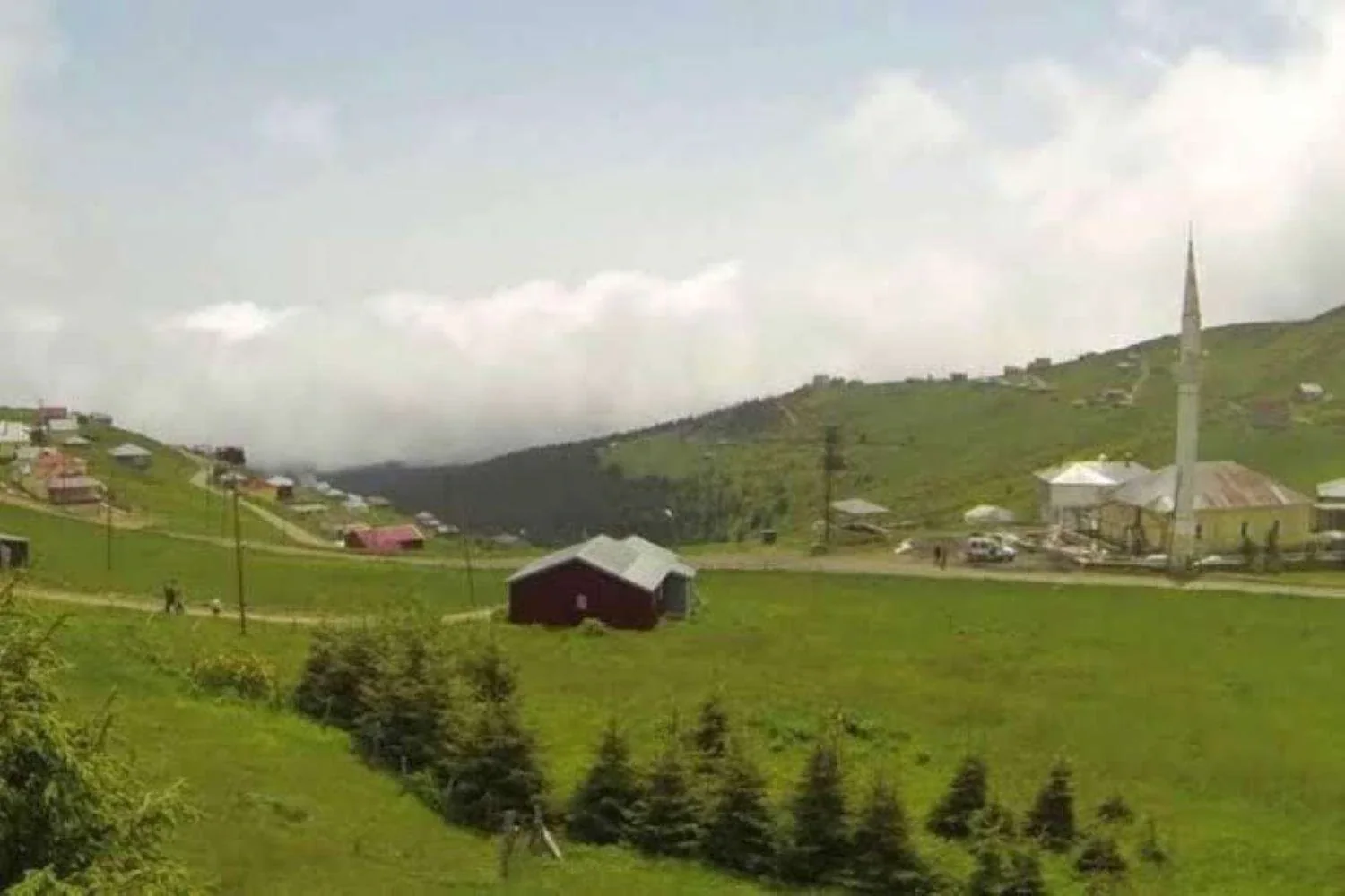 Karadağ Yaylası Trabzon yayla manzarası